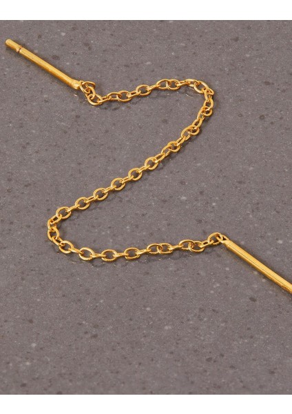 Z Koleksiyonu Tekli Zincir Küpe Altın Kaplama fiyatları