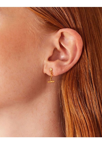 Z Koleksiyonu Modern Heirloom Tbar Küpe Altın Kaplama