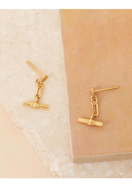 Z Koleksiyonu Modern Heirloom Tbar Küpe Altın Kaplama fiyatları