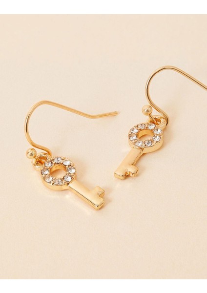 Anahtarlı Şans Küpesi fiyatları