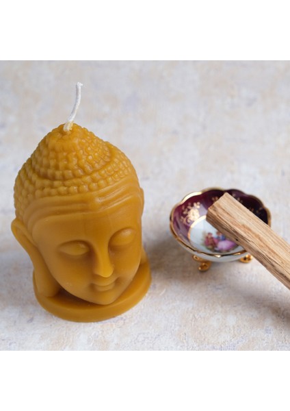 Arınma Seti %100 Organik Palo Santo Tütsü Buda Balmumu Mum Adaçayı Tütsüsü Deniz Kabuğu Tütsülük fırsatları