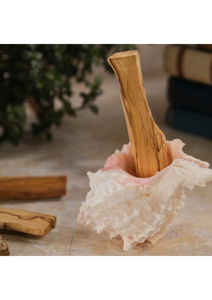 Palo Santo Tütsü Buda Bal Mumu Mum Deniz Kabuğu Tüsülük modelleri