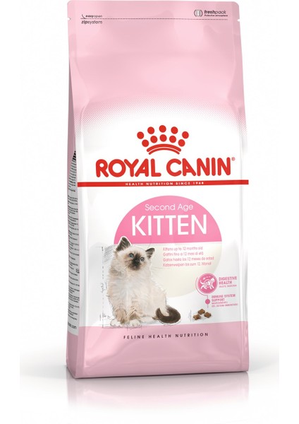 Kitten 2 kg