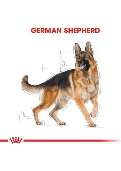 German Shepherd Yetişkin Köpek Maması - 11 kg modelleri