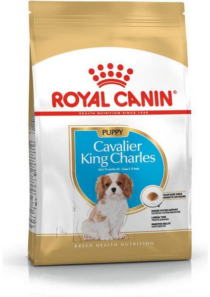 Cavalier Junior Köpek Maması - 1,5 kg