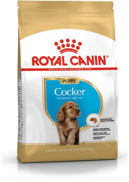 Cocker Junior Köpek Maması - 3 kg