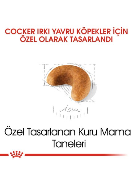 Cocker Junior Köpek Maması - 3 kg fırsatları