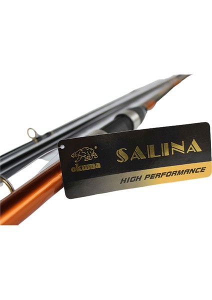 Salina 420CM 3 Parça 100-200GR Surf Kamış + Okuma Revenger 55 Fd Makine Surf Set