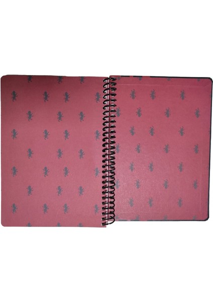 Wızardıng World Harry Potter Gryffındor Bına Defter