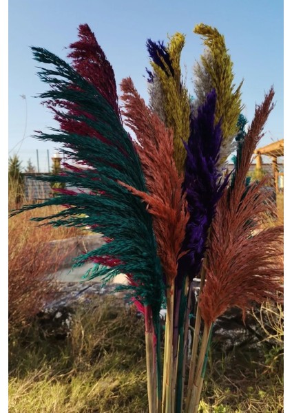 15'li Dekoratif Karışık 100CM Boyunda Pampas fiyatları