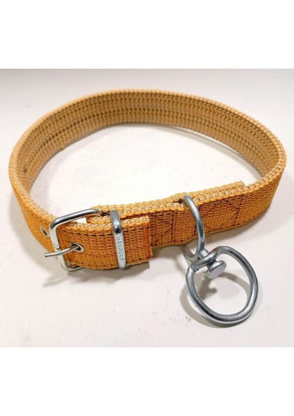 70CM Kurt Kangal Tarzı Büyük Köpeklere Özel Zinciriyle Tam Set Köpek Tasması Rahat Dana Boyunluğu fiyatları