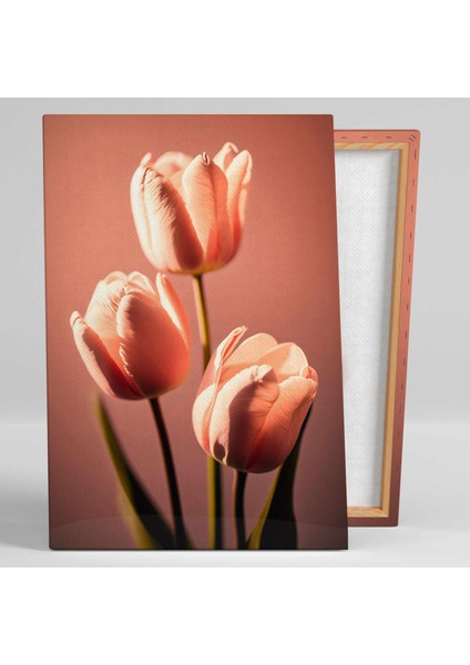 Pembe Lale Pink Tulip Çiçek Doğa Dekoratif Kanvas Tablo