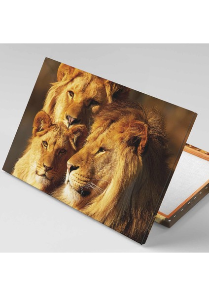 Karizma Aslan Ailesi Ormanlar Kralı Kaplan Yavru Aslan Hayvan Kanvas Tablo fiyatları