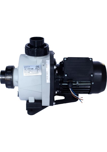 Havuz Pompası Nıger Kng 0,75 Hp Monofaze Havuz Pompası