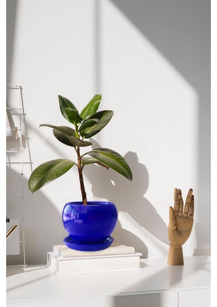 Tabaklı Lacivert Tombul Çömlek Saksı 22X21 cm