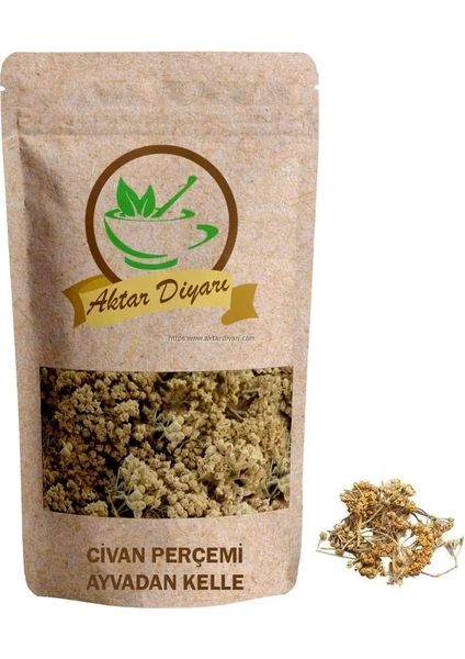 Aktar Diyarı Civan Perçemi (Ayvadana Kelle) 250 gr