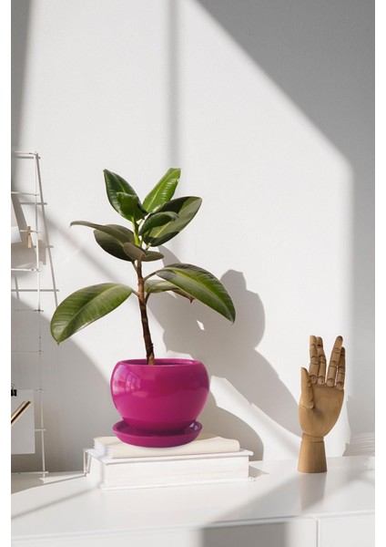Tabaklı Koyu Pembe Tombul Çömlek Saksı 16X15 cm