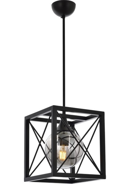 Avonnı AV-60127-1BSY Siyah Boyalı Modern Avize E27 Metal Cam 25X25CM