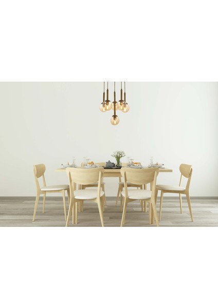 Avonnı AV-60216-6ET Eskitme Kaplama Modern Avize E27 Metal Cam 50CM fiyatları