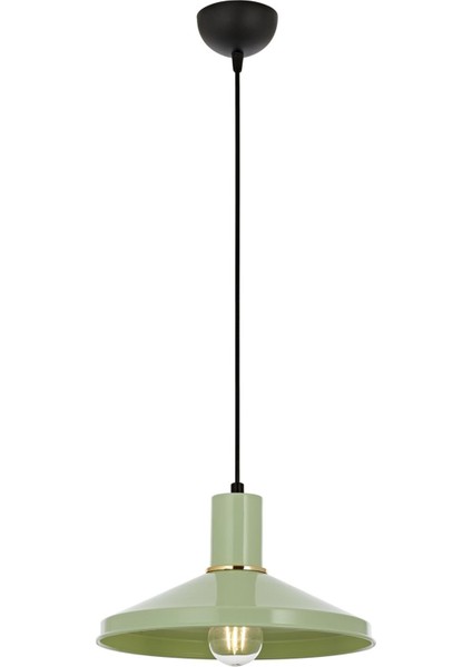Avonnı AV-4106-M24-GREEN Yeşil Boyalı Modern Avize E27 Metal 30CM