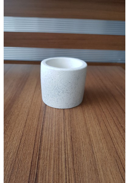 Taş (Stone) Efektli Beton Silindir Kaktüs ve Çiçek Saksısı