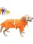 Pet Panço Orange-4xl (Yurt Dışından) 1