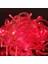 Red Colors Led Light 10 Metre Kırmızı Led Işık Kırmızı Ip Led Işık Kablo Işık 220V Fişli Kırmızı Işık 3
