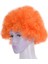 Cadılar Bayramı Erkek Kadın Turuncu Kıvırcık Afro Sirk Palyaço Peruk (Yurt Dışından) 5