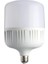 Quality Address 60W Torch Led Ampul 1