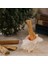 Palo Santo Tütsü Buda Bal Mumu Mum Deniz Kabuğu Tüsülük 5