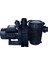 Havuz Pompası Senkron 2 Seri 1.50 Hp Monofaze-Pool Pump-Toptancıyızbiz 3