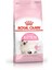 Kitten 2 kg 1