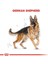 German Shepherd Yetişkin Köpek Maması - 11 kg 3