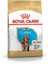 Cocker Junior Köpek Maması - 3 kg 1