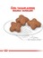Mini Adult +8 Yaşlı Köpek Maması - 2 kg 2
