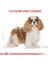 Cavalier Yetişkin Köpek Maması - 1,5kg 4
