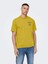 Farris Life Rlx Elon Street Ss Erkek Tişört 22024796 S - Sarı 1