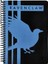 Wızardıng World Harry Potter Ravenclaw Bına Defter 1