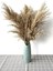 Gerçek Kuru Çiçek 7'li Büyük Boy Pampas 100 cm 1