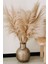 Gerçek Kuru Çiçek 7'li Büyük Boy Pampas 100 cm 2