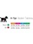 H-Tip Rainbow L Orta ve Büyük Irk Köpek Göğüs Tasması (Göğüs 62 cm x 107 Cm) 3