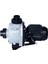 Havuz Pompası Nıger Kng 0,75 Hp Monofaze Havuz Pompası 1