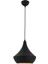 Avonnı AV-4106-M6-BSY Siyah Boyalı Modern Avize E27 Metal 27CM 1