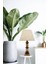 Avonnı ML-60245-1E Eskitme Kaplama Masa Lambası E27 Metal Ahşap 35CM 3