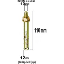 Alet Çantam Uzun Çelik Dübel Gömlekli 10x110 (12mm) -10 Adet