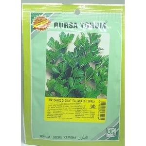 Bursa Tohum Yaprak Maydanoz