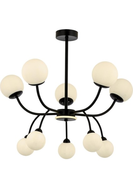 Avonnı AV-60386-10BSY Siyah Boyalı Modern Avize G9 Metal Cam 80CM