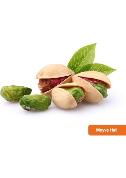 2 Çeşit Karışık Meyve Fidanı Antep Fıstığı ve Sarı Incir