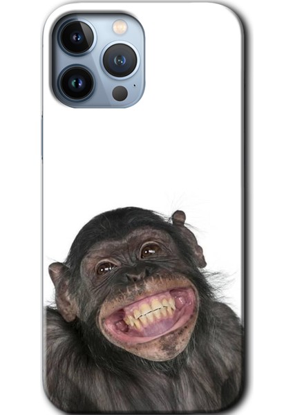 Apple iPhone 13 Pro Kılıf Hd Desen Baskılı Arka Kapak + Mat Kobra Cam - Şıpsevdi Aşk