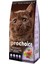 Pro 38 Cat Kitten Plus Yavru Kedi Maması 2 kg 1
